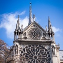 Paris - 401 - Notre Dame